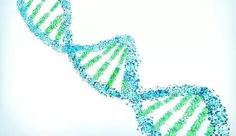 脫氧核糖核酸是什么東西，婦科脫氧核糖核酸是什么東西